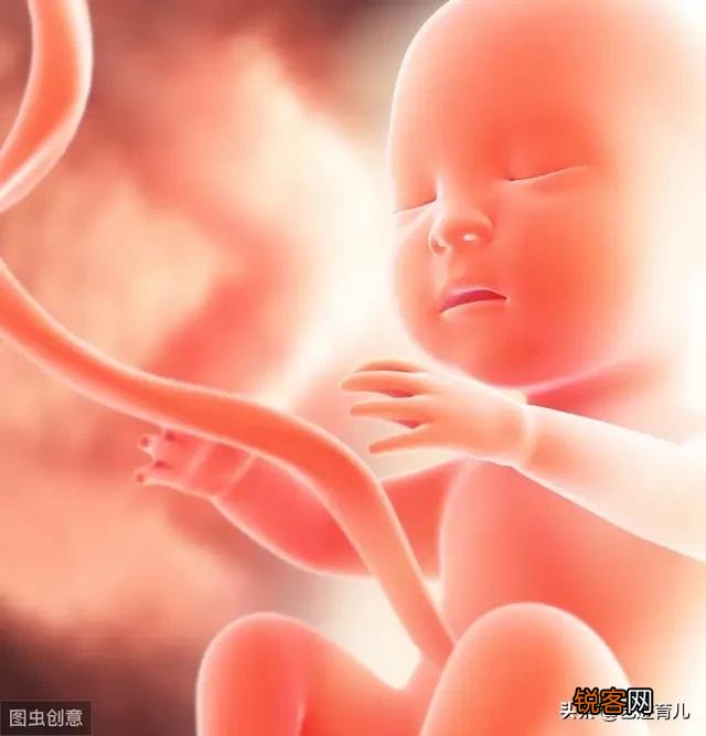 婴儿没出世在妈妈肚子时候吃什么？