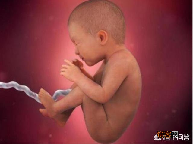 婴儿没出世在妈妈肚子时候吃什么？