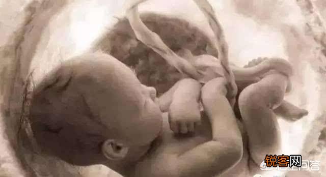 婴儿没出世在妈妈肚子时候吃什么？