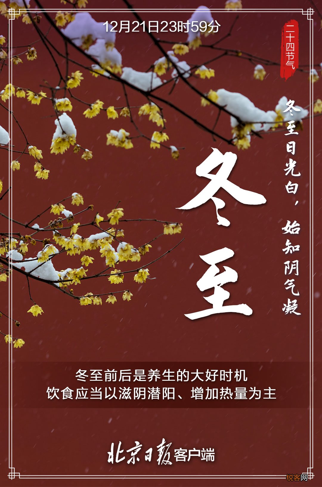 今日冬至！在最长的冬夜，等一场春的照面