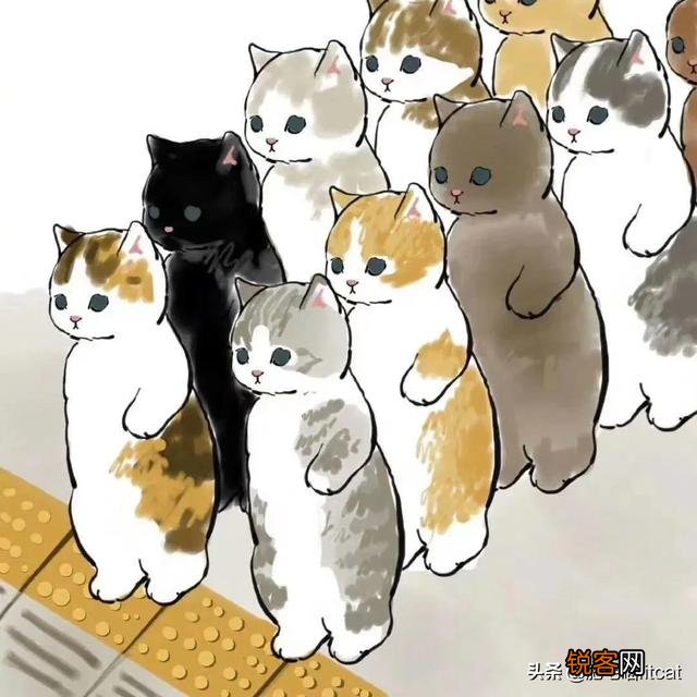 虎毒不食子,猫会吃孩子!猫咪为什么会吃点自己的孩子?
