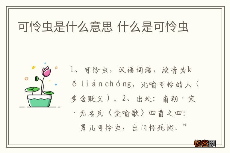 可怜虫是什么意思 什么是可怜虫