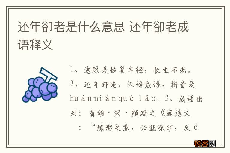 还年s老是什么意思 还年s老成语释义