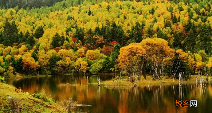 香格里拉和泸沽湖哪个更值得去 香格里拉还是泸沽湖好玩