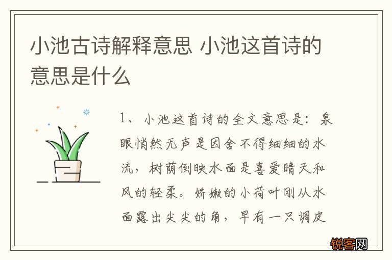 小池古诗解释意思 小池这首诗的意思是什么