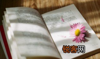 小池古诗解释意思 小池这首诗的意思是什么