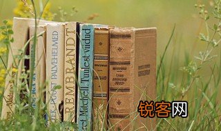 发疯的意思 发疯的解释