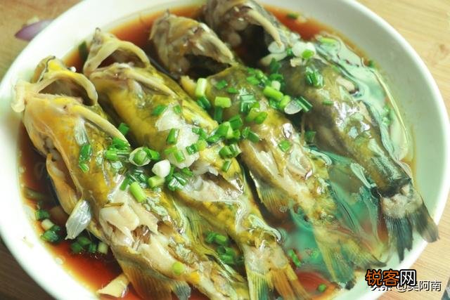 婴幼儿吃黄辣丁鱼可以吗？