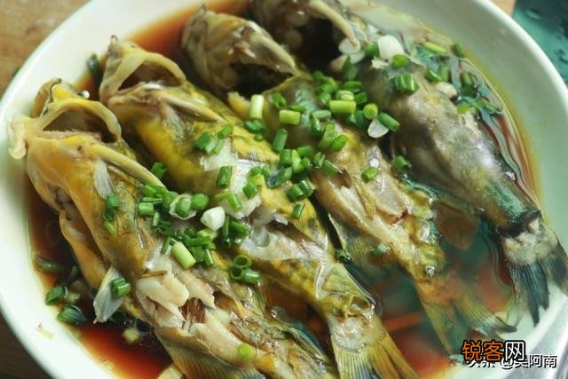 婴幼儿吃黄辣丁鱼可以吗？