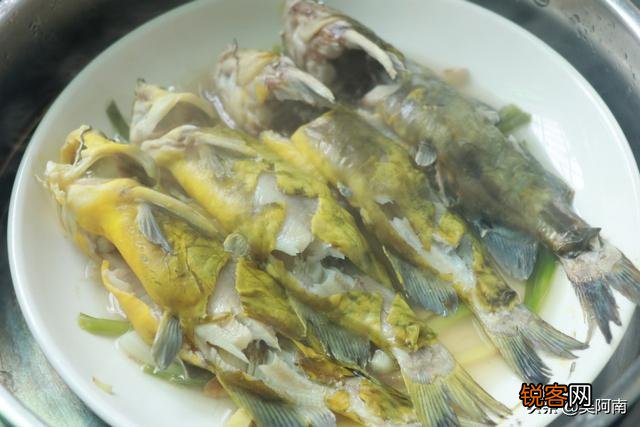 婴幼儿吃黄辣丁鱼可以吗？