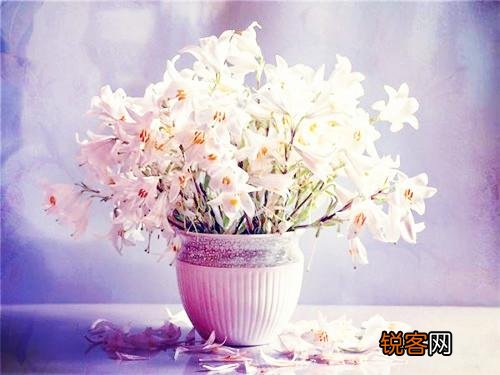 如何少说话 为人处世，要学会少说话，尤其是这三句话