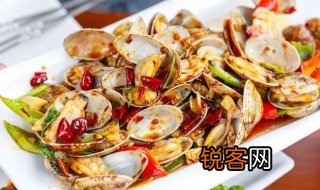 花蛤读音 花蛤介绍