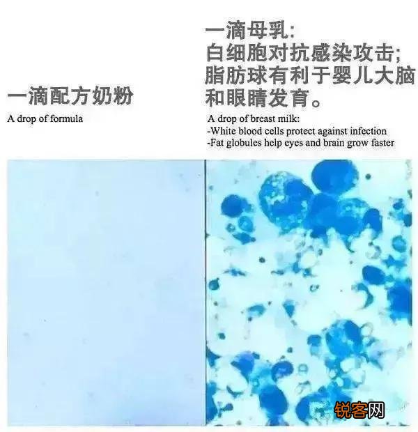1岁2个月的宝宝还在吃母乳,很奇怪吗？