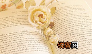 好看的意思 好看的解释