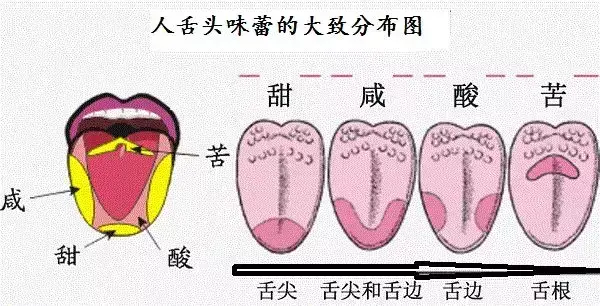 最全红酒知识 快速入门小技巧