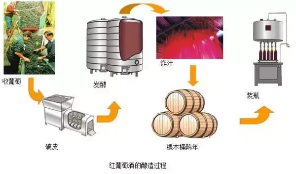 最全红酒知识 快速入门小技巧