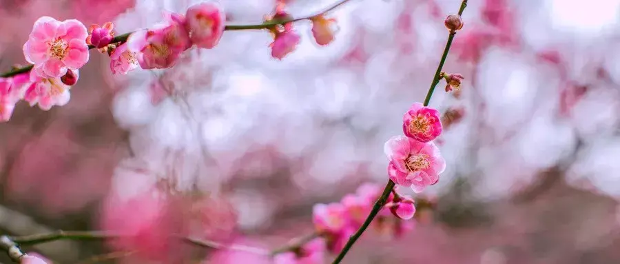 《淮南子》精选30句 句句精辟，直击人心