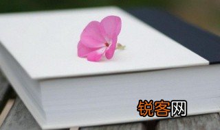 爱情的古诗词 最美的爱情古诗词