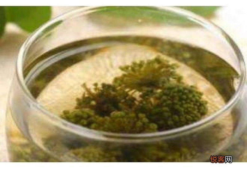 贡菊泡水的功效与禁忌 贡菊泡水是苦的吗