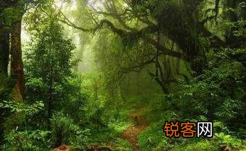 师友们近期写的原创…自己比较中意的诗歌可否分享一二？