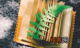 形容相遇美好的古诗 形容相遇美好诗词有哪些？