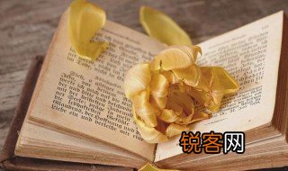 支路的意思 支路的解释