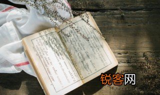 从使的意思 从使的解释