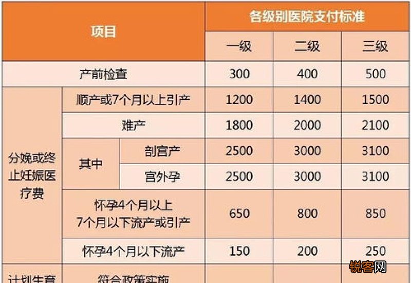 成都生育保险报销需要什么条件 成都生育保险及津贴报销条件2023