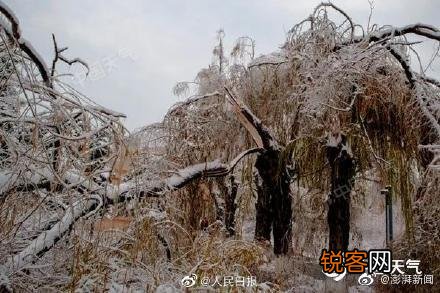 雨雪大风降温将再度“上线”