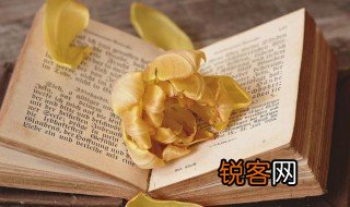 口谈道德志在穿窬的意思 口谈道德志在穿窬的解释