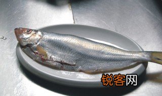 鲞鱼读什么 鲞鱼是什么鱼
