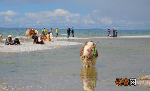 去西藏旅游 高原反应头疼的应对方法