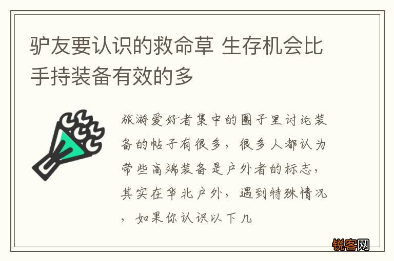 驴友要认识的救命草 生存机会比手持装备有效的多