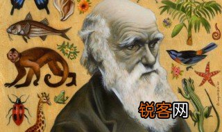 达尔文的自然选择学说 达尔文的自然选择学说的主要内容