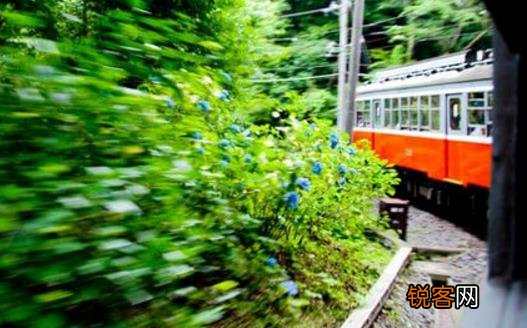 出境旅游的自我保护 避免卷入不必要的麻烦