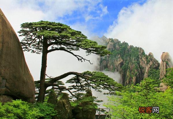 马云5月9日来黄山考察,此行吐露了什么样的商机？