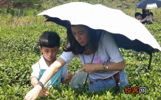 跟孩子一起亲子游 家长们一定要做好的功课