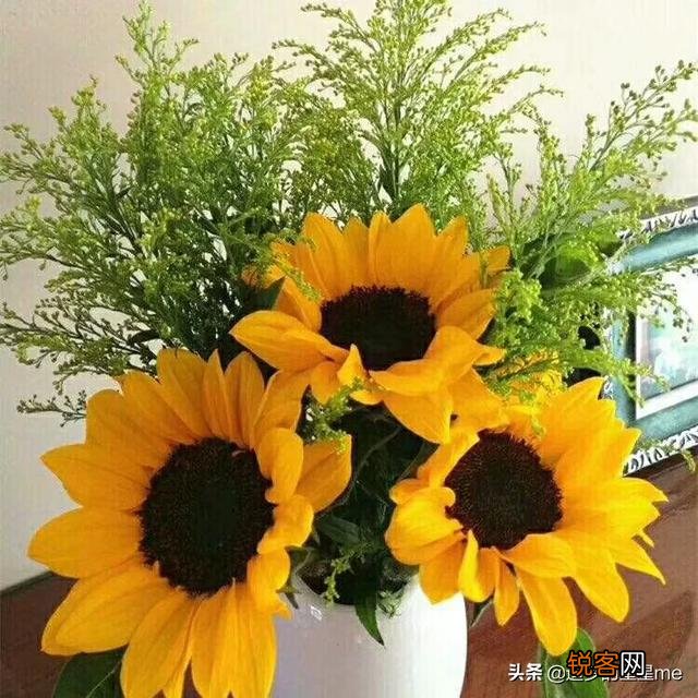 今天是马云最后一天上班了,马云时代要结束了吗？