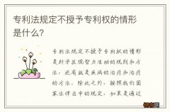 专利法规定不授予专利权的情形是什么？