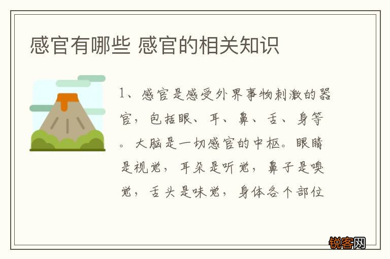 感官有哪些 感官的相关知识