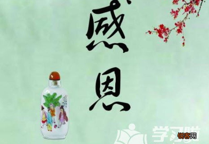 感恩议论文800字
