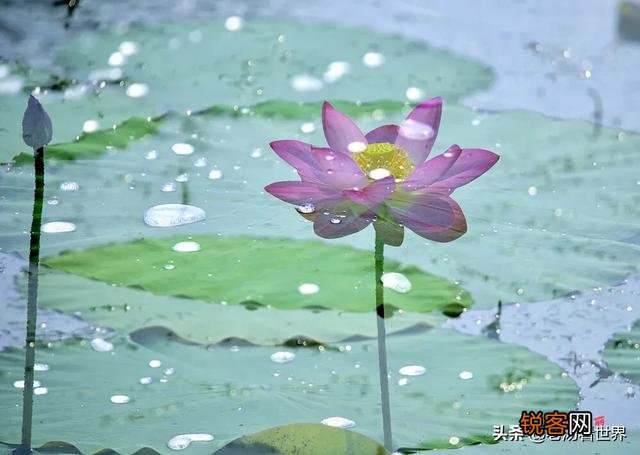 你用过的第一部单反是哪个？感受如何？