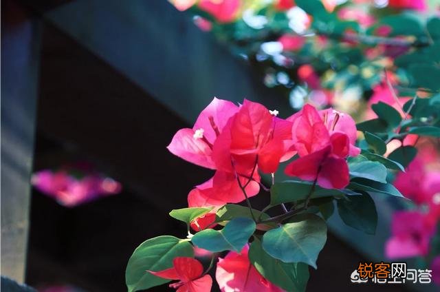 你用得最久的相机或者镜头是什么,都出过什么作品？