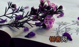 娃娃脸什么意思 娃娃脸解释