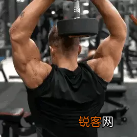 如何快速锻炼手臂肌肉 4个动作解决