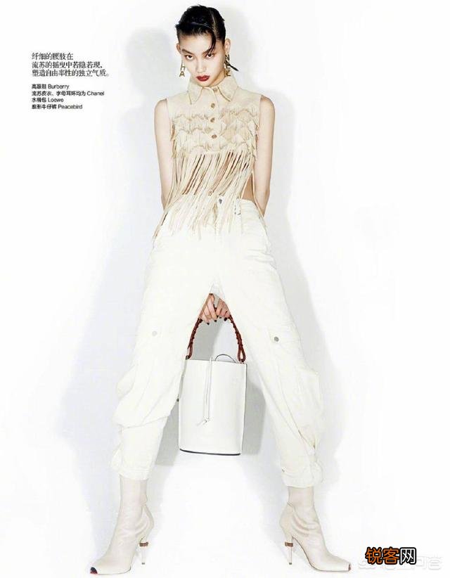 2019年有哪些高级配色？