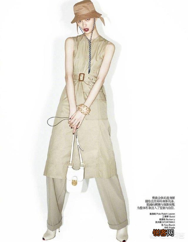 2019年有哪些高级配色？