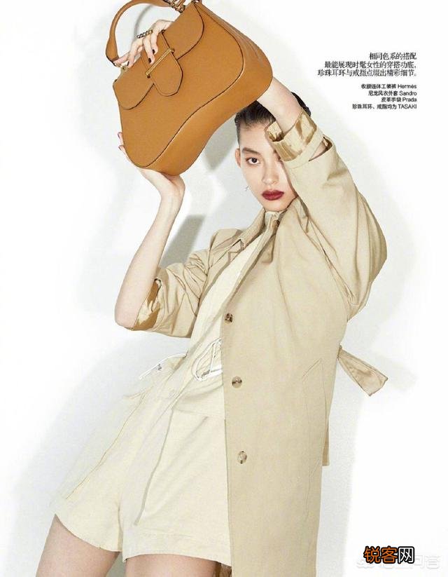 2019年有哪些高级配色？