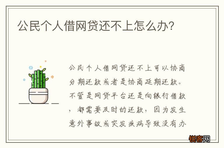 公民个人借网贷还不上怎么办？