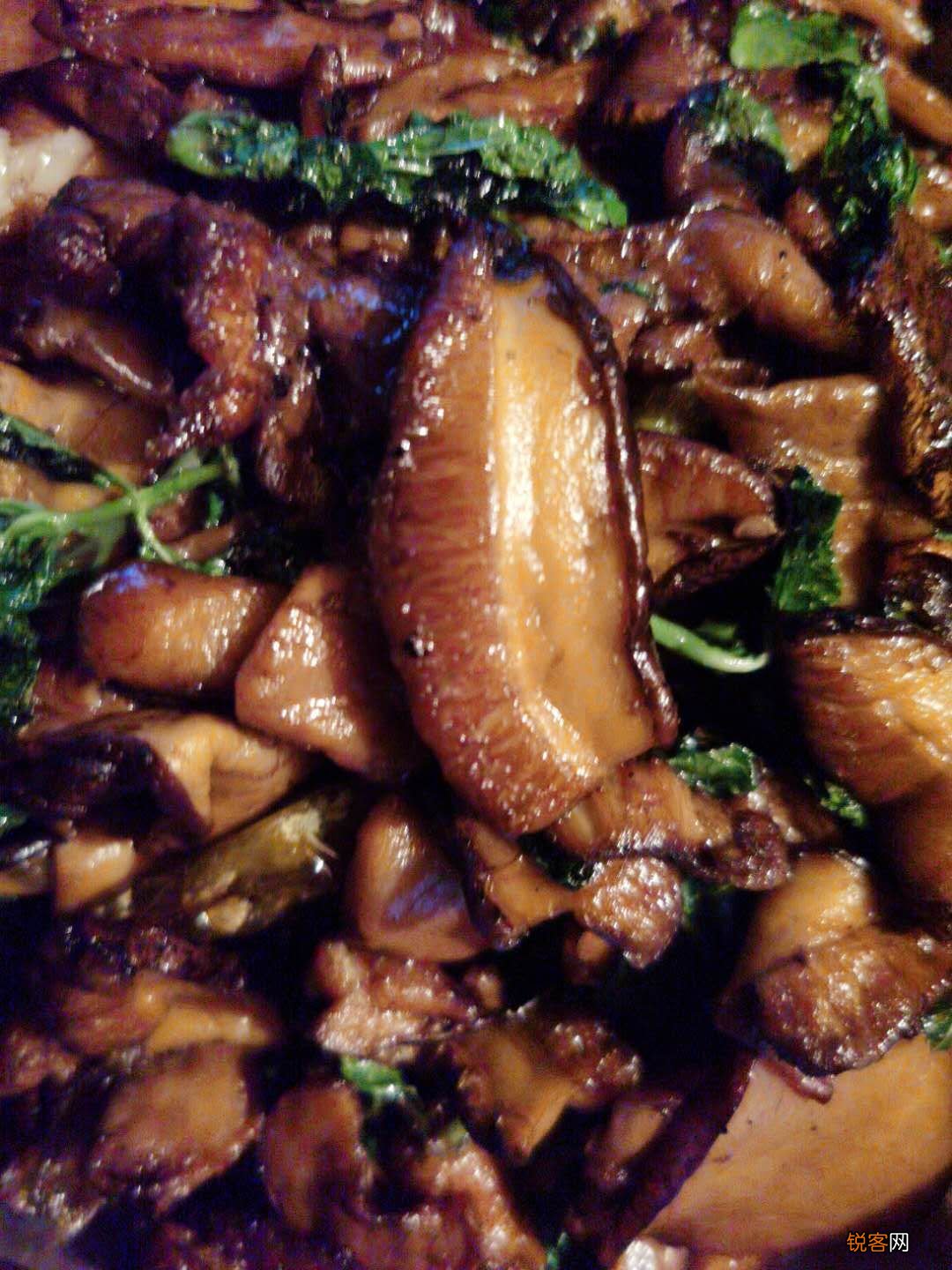 常见野生菌菇种类 那些你眼中的野生菌